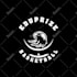 create 2d custom logo animation, video intro and outro