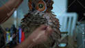 create unique handmade paper art and paper mache sculpture