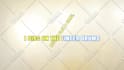 create karaoke lyric video professionally within 24 hours
