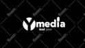 create a professional and custom logo animation