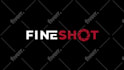 create a professional dynamic custom 2d logo animation