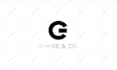 create custom logo animation for your brand