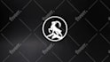 create a unique and custom logo animation intro