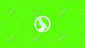 create a professional custom logo animation or intro