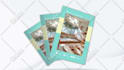 create magazine, book and ebook promo video animation