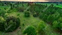 do professional real estate video editing