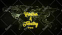 create custom 2d 3d motion graphics logo animation