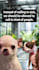 create viral video memes in 2 hours for social media