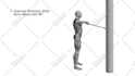 create realistic 3d workout exercise animations for fitness apps and youtube