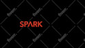 design a polished logo animation tailored to your brand
