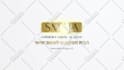 do professional logo animation fast and stylish designs