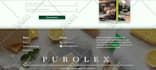 create a professional wordpress website with SEO optimization