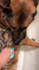 create ugc video ads for dog companies