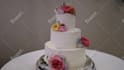 do professional cinematic wedding video editing