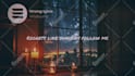 create an animated lyric video for your song