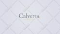 create a professional minimalist business logo design
