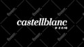create custom logo animation for your brand