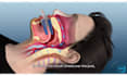 create 3d medical animation and 3d modeling