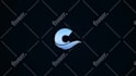create a custom professional logo animation