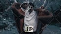 create high impact mixmedia commercials or music videos