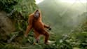 do funny monkey dancing animation with your music and text