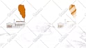 create  traditional 2d animation hand drawn  animations