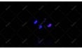 create electric lightning modern logo reveal