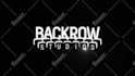 create custom logo animation and video intro in 24 hours