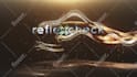 create 25 different logo animations