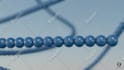 make 3d animation of proteins for science and biology