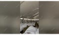 do youtube video vlog editing travel video editing