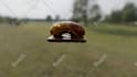 do 3d product animation and rendering