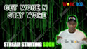 create animated starting, brb, offline screen for stream in 24 hours