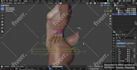 rig 3d character in blender for animation, unreal or unity
