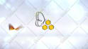 create custom butterfly animations tailored for your brand