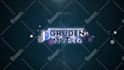 create an amazing logo animation intro video with in 24hrs