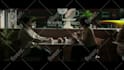 vfx, screen replacement, chroma keying, rotoscoping, cleanup