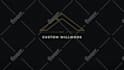 create appealing logo animation