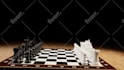 3d modeling texture lighting and rendering maya and 3ds max