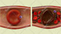 create professional 3d medical animation, surgical animation, scientific visuals