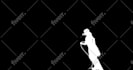 do professional rotoscoping, green screen removal, and vfx cleanup