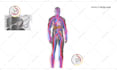 create 3d medical animation with high quality rendering