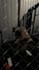 edit your gym workout video for tiktok reel