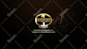 do custom luxury logo animation intro
