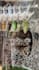 edit your tiktok and instagram reels videos