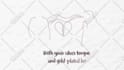 do trendy hand drawn and illustrated  animated lyric video