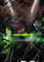 do animated motion flyer for event, club, ai music video editing
