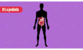 create an amazing 2d animated explainers video