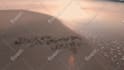 write your beautiful names and greeting beach as video, pic