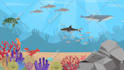 create 2d animated explainer video or custom 2d animation
